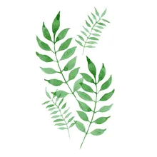 SDFC-бескаркасная мА е зеленый лист самодельная картина маслом цифровые настенные картины для раскраски картины для гостиной 40x50 см