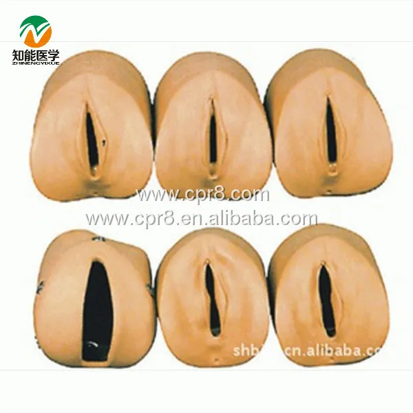 BIX F9 Advanced Cervical Change and Birth Canal Model ...