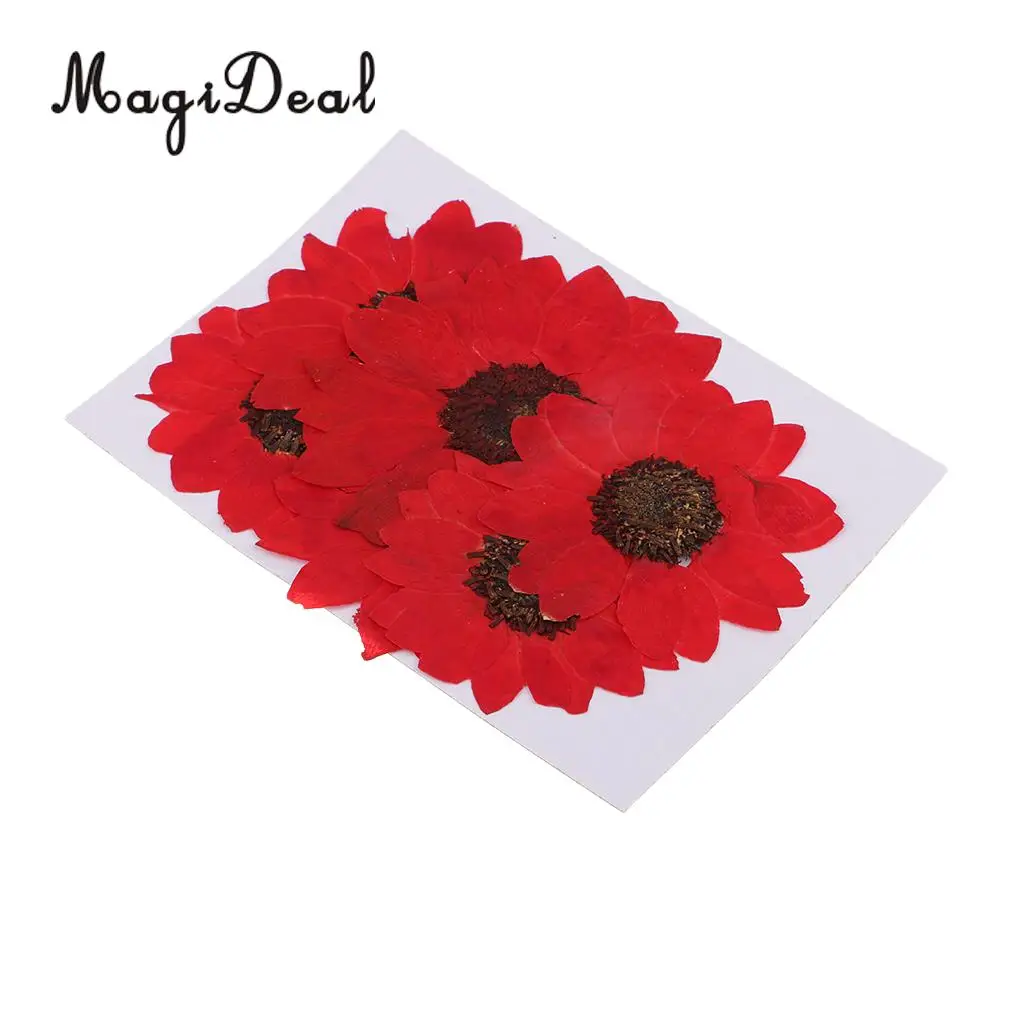 6 Pieces Pressed Natural Real Dried Flowers Sunflower for DIY Resin Ornament Craft Christmas Xmas Card Making Decoration