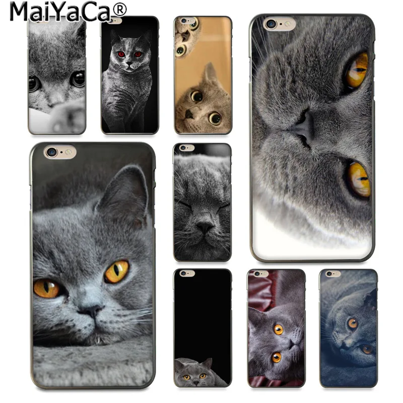 

MaiYaCa Animal british shorthair cat Amazing new arrival phone case cover for Apple iPhone 8 7 6 6S Plus X 5 5S SE XS XR XS MAX