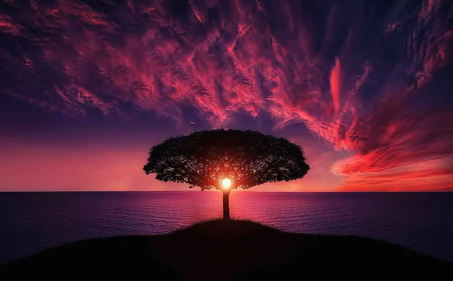 5D Diamond Embroidery Sunset landscape tree Round Painting Cross Stitch Kits Mosaic Home decoration painting | Дом и сад