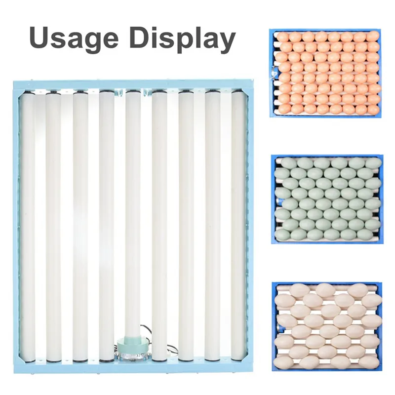 

360 Degree Chicken Eggs Turner Automatic Incubator Duck Quail Bird Poultry Eggs Tray Farm Incubation Tools Supplies Blue