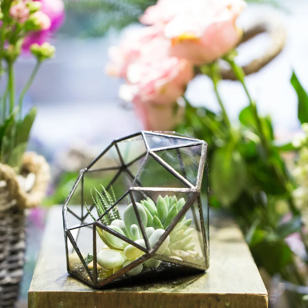 estilo vintage grande forma de diamante planta suculenta vidro geométrico decoração terrário caixa vasos de flores pretas recipientes