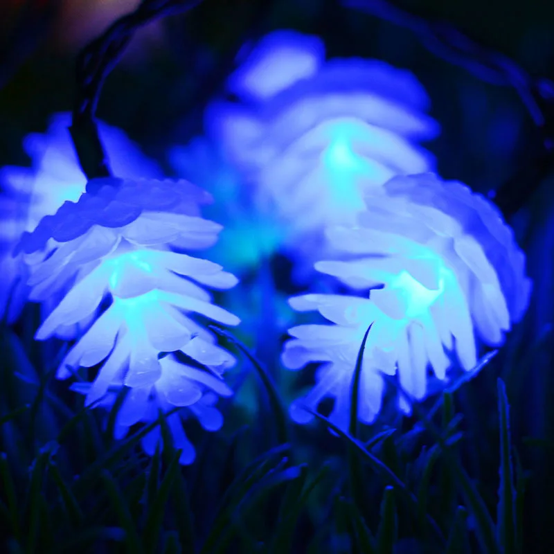 Pineal Solar String Lights SOCO (18)