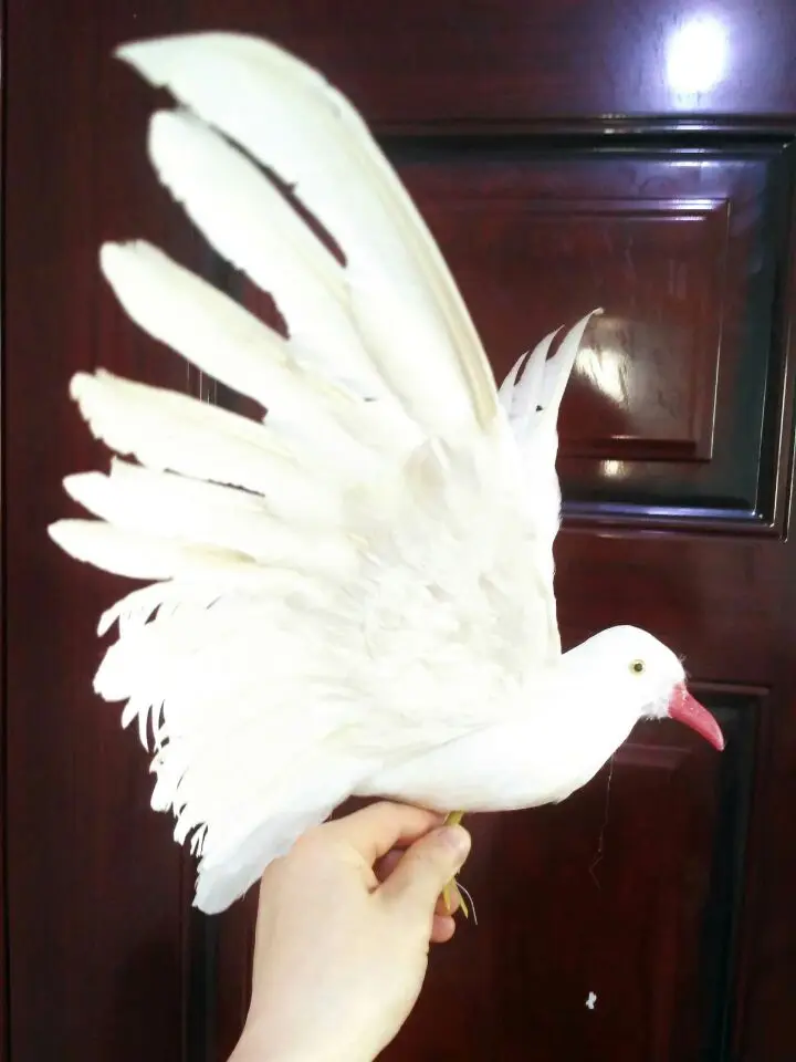 41