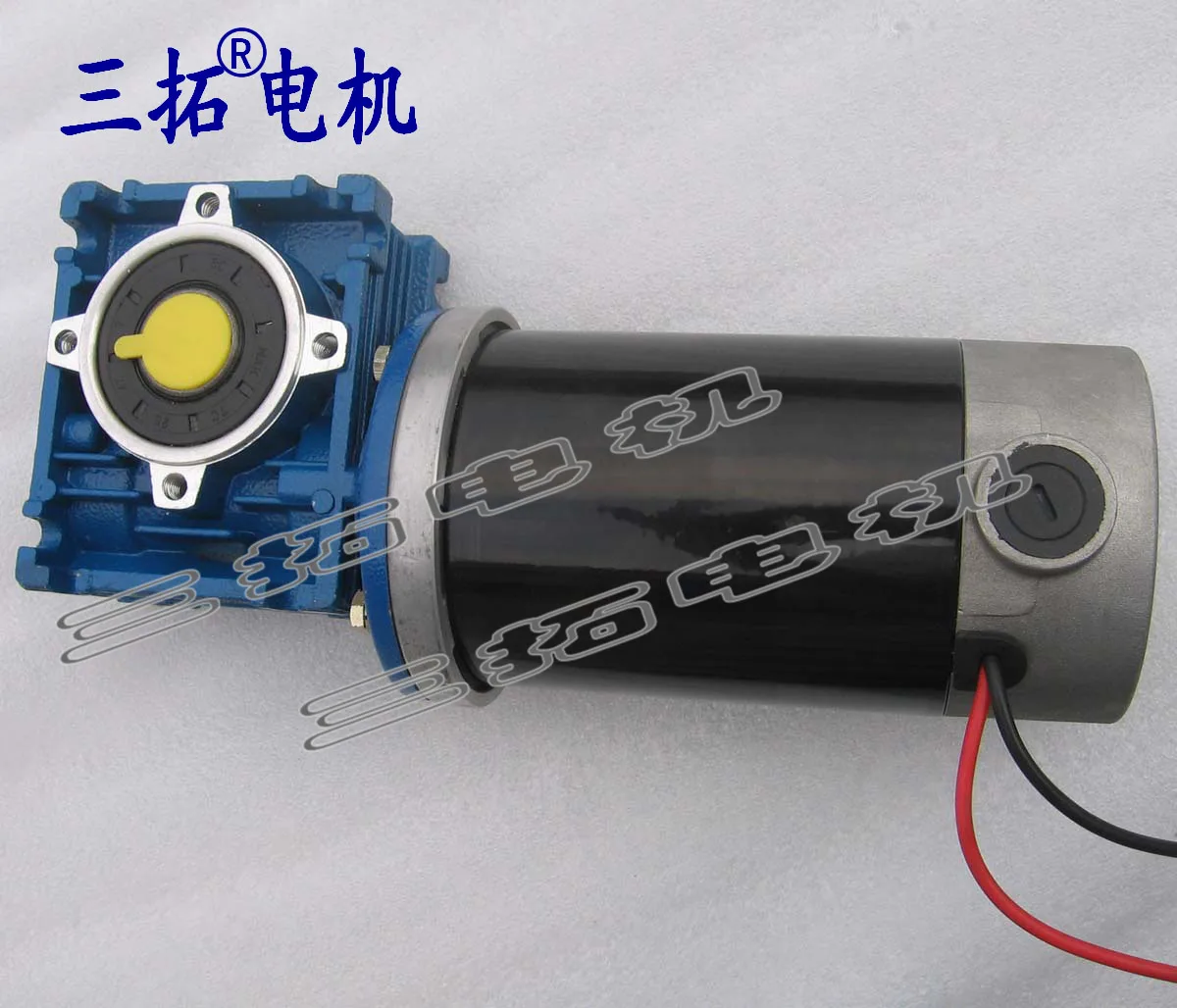 

100W 24V GW80170 high torque worm gear reducer motor can be changed carbon brush