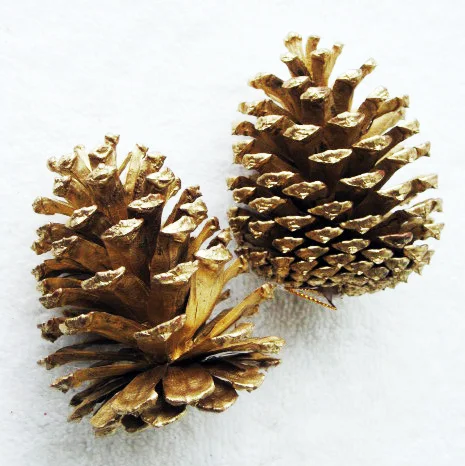 popular pine cones buy cheap pine cones lots from china popular pine cones buy cheap pine cones lots from china