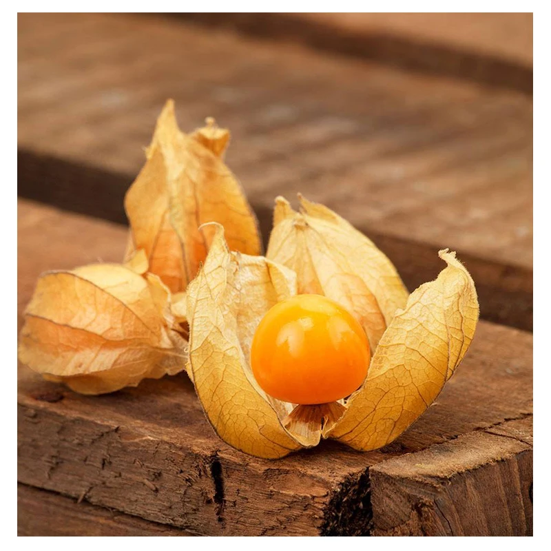 

ZLKING 20PCS Natural Sweet Physalis Bonsai Delicious and juicy Four Seasons Organic Perennial Fruits for Planting in the Garden