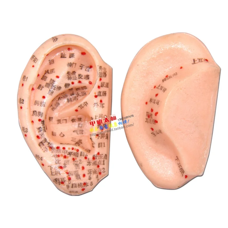 8 см Ушная Акупунктура модель аурикулярного приложения модель точки акупунктуры на ухе модель Ушная Акупунктура Ушные Шпильки модель