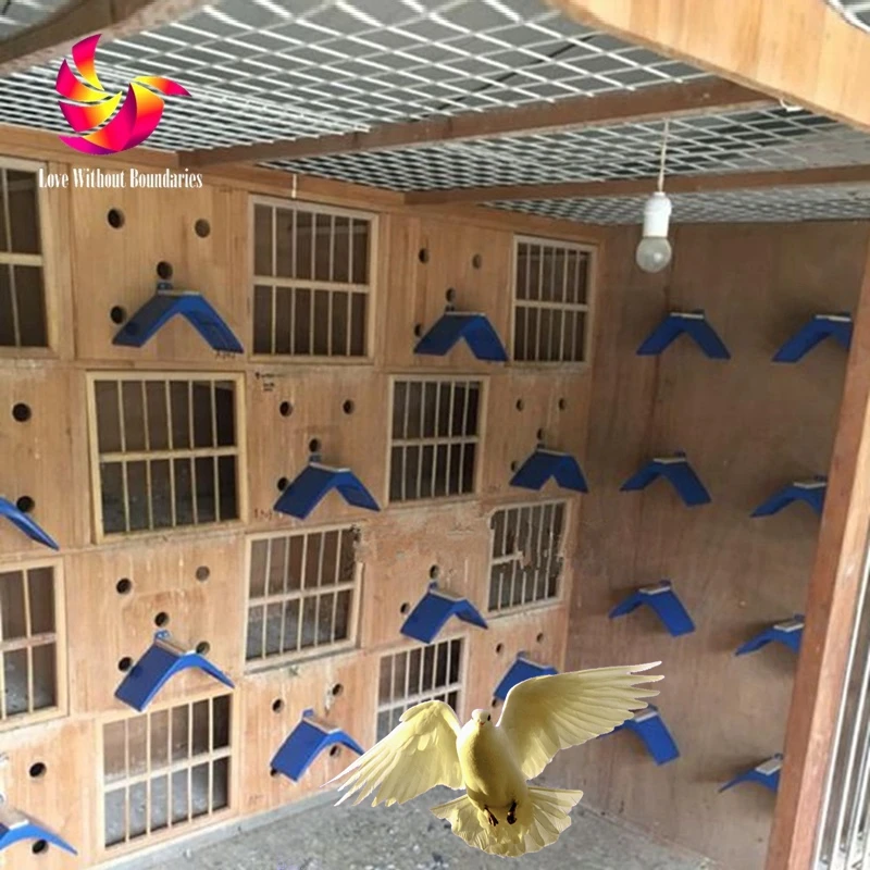 Подставка для птиц большого размера из натуральной древесины без скольжения