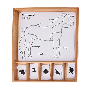 

Montessori Animal Learning Cards with Wooden Box Teaching Aid Early Learning Educational Toys for Children Toddler Kids