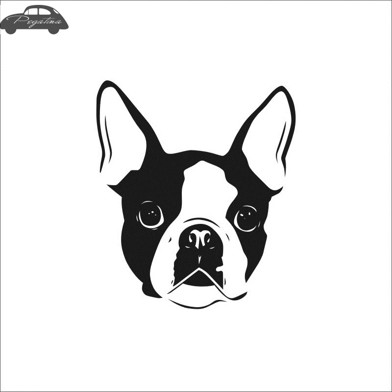 Pegatina Car Boston Terrier Dog Sticker Pet Shop Decal Posters Vinyl Wall Art Decals Quadro Parede Decor Mural Pet Shop Sticker
