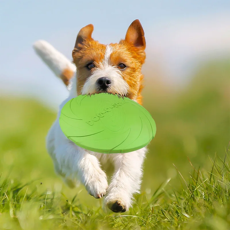15cm Pet Dog Flying Discs Dog Frisbee Toy Toys for Dog Pets Floatable Floppy Disc Natural Rubber ...