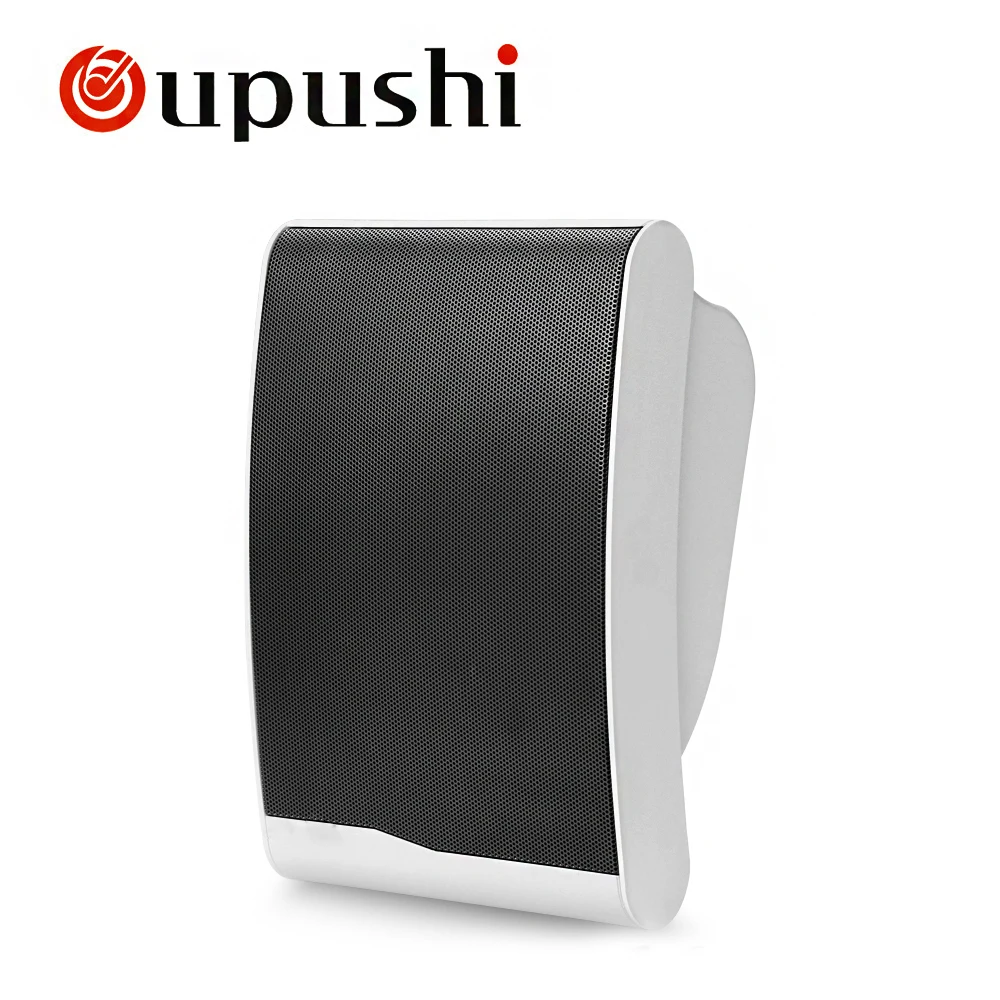 Oupushi Public Address System 110V Classroom Wall