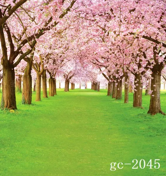 

5x10ft Vinyl Custom Photography Backdrops Props Photo theme Backgrounds GC-2045