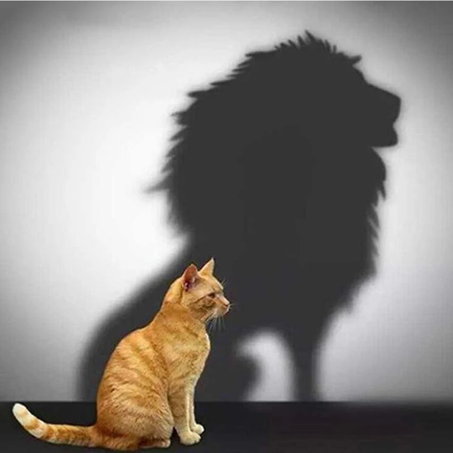 

Diamond Painting Cat Lion 5d diy Diamond Embroidery new sale Full Square round Drill Decor Home Picture Of Rhinestone painting