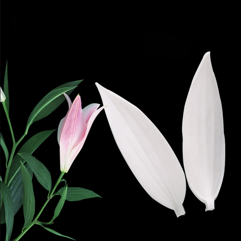 

2Pcs Lily leaves Silicone Mold Fondant Mould Cake Decorating Tool Chocolate Gumpaste Mold, Sugarcraft, Kitchen Accessories
