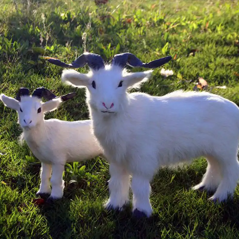 baby goat toys
