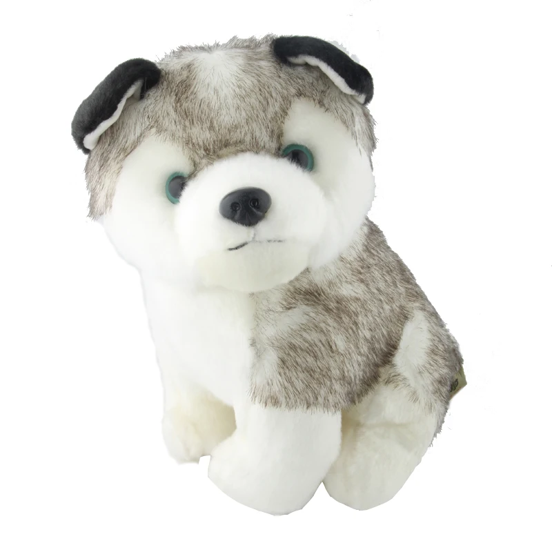 Buy Husky Dog Plush Doll Toys 25cm from Reliable doll