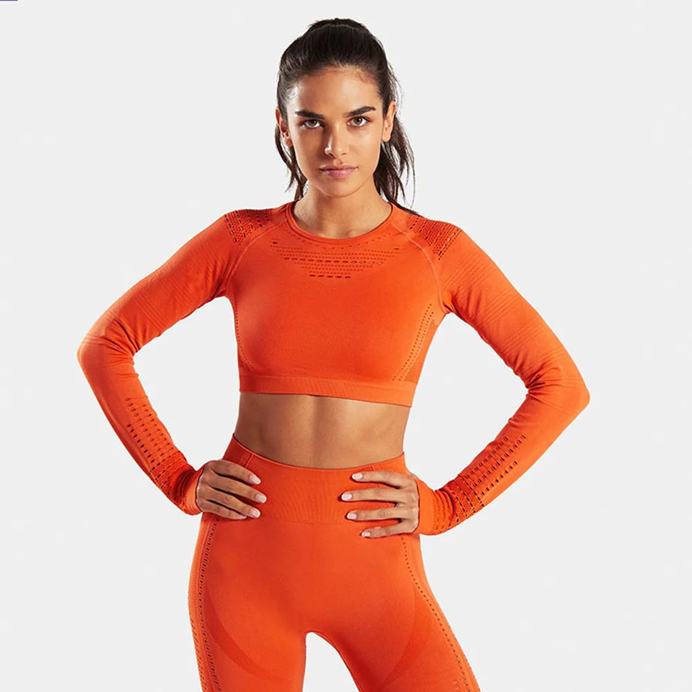 2 шт., спортивный комплект для йоги, женская одежда для тренировок, безупречная трикотажная одежда с длинным рукавом, полый сетчатый компрессионный укороченный топ, бесшовные Леггинсы для йоги