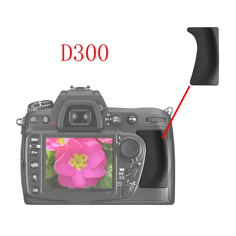 D300