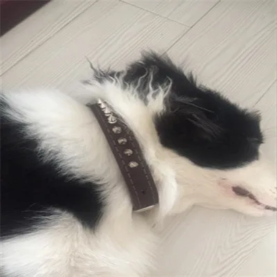 1020