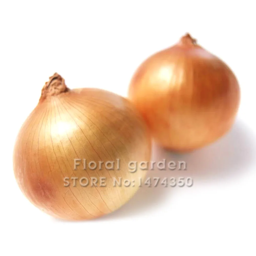 

100 Pcs Giant Onion Bonsai, Onion Shallot, Organic Heirloom Fruit Vegetable Non-Gmo Plant, Bonsai Potted Plants for Home Garden