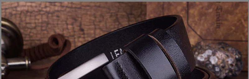 N17FJ115 (12)