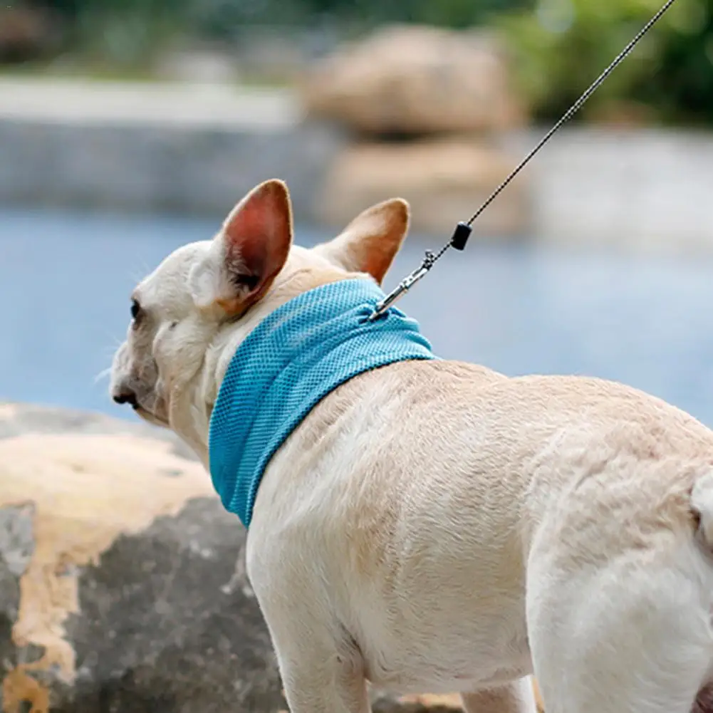 Buy Wholesale Dog Cooling Collars Pets Summer