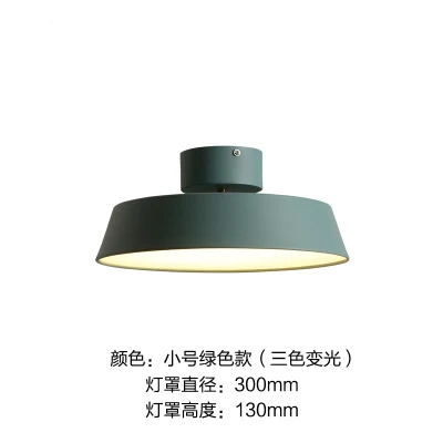 green D30CM Скандинавский Железный потолочный светильник s светодиодный светильник для столовой спальни кабинета кухни Современный дизайнерский акриловый светильник с крышкой - Цвет корпуса: green D30CM