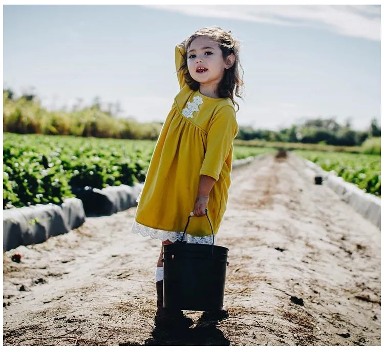 Mother nest 2018 Baby Long Sleeves Yellow Girls Dress Autumn Children Clothing Lace Cotton Toddler Dresses For Party Birthdays (20)