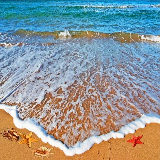 5a44d4d7cebc175ca39e8e51-2-original