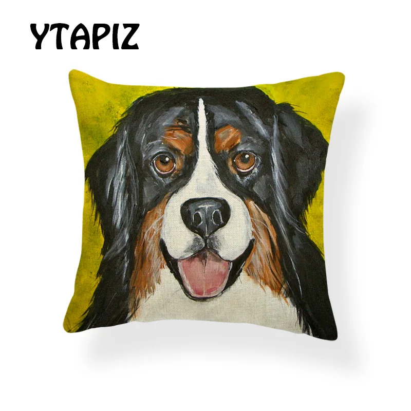 AB9166 (12) Bernese mountain dog