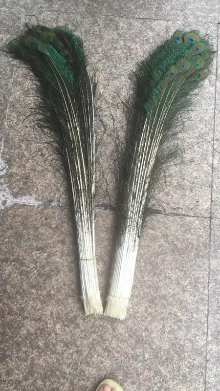 50 Pieces Of Natural Peacock Feathers 70 80cm Diy Wedding Vase