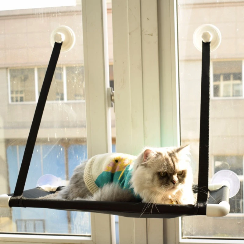 Hamac Fenetre Pour Chat Pot De Lit A Ventouse Tapis De Lit Perchoir Coussin Etagere Suspendue Siege Avec Ventouse Pour Chat Aliexpress