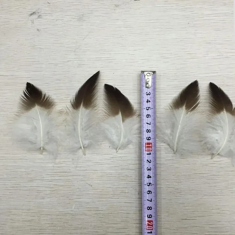 Редкие и высококачественные маленькие белые перья орла 10 шт. 5-20 см(2-10 дюймов) украшения для дома, аксессуары, украшения