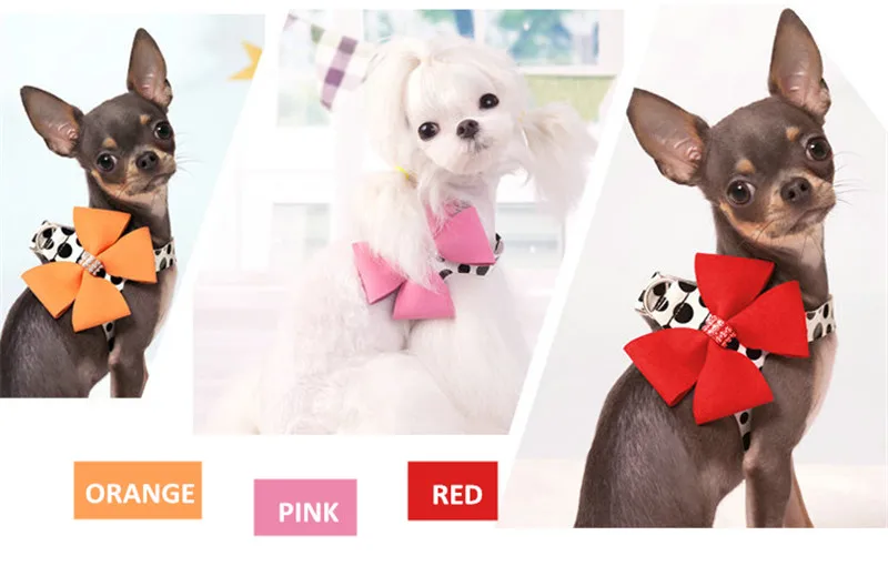 Dog Harness Small  (2)