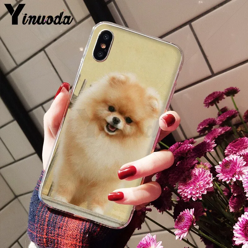 Yinuoda كلب صغير طويل الشعر الكلاب الكلب TPU لينة سيليكون غطاء إطار هاتف محمول ل أبل فون 8 7 6 6 S زائد X XS ماكس 5 5 S SE XR الهواتف المحمولة Yinuoda كلب صغير طويل الشعر الكلاب الكلب TPU لينة سيليكون غطاء إطار هاتف محمول ل أبل فون 8 7 6 6 S زائد X XS ماكس 5 5 S SE XR الهواتف المحمولة