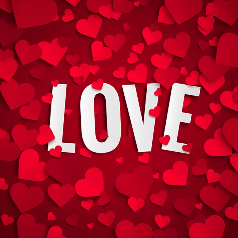 Valentine's Day Vinyl Photography Backdrops Newborns
