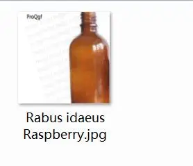 10 мл набор Arnica Монтана Rabus idaeus Raspberry - Цвет: raspberry