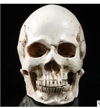 

quality simulation model engraving and production of high grade resin skull man model home furnishings culpture statue