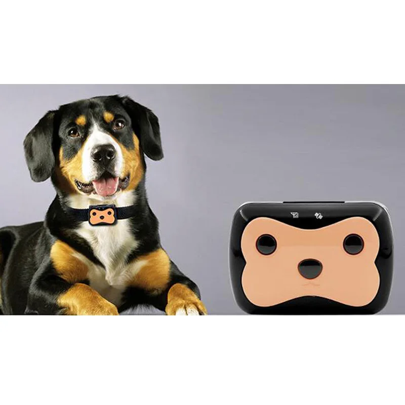 Pet locator tracking smart gps base station positioning pet vehicle