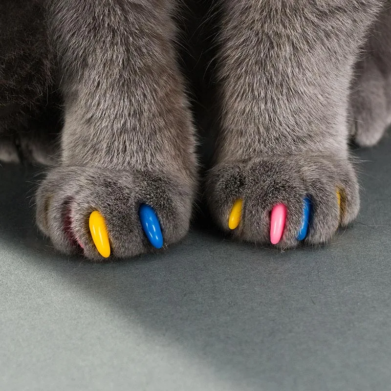 rubber cat claws