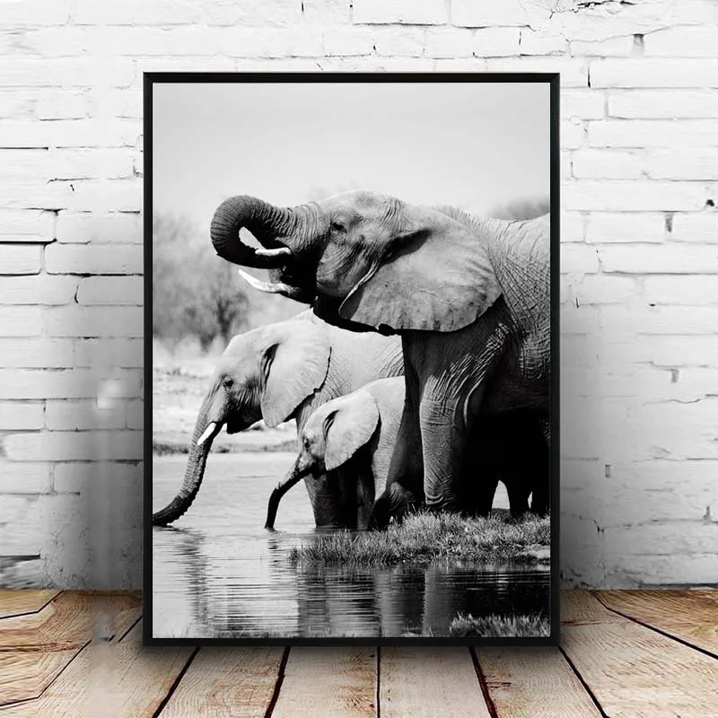 picture wall painting canvas painting x 1