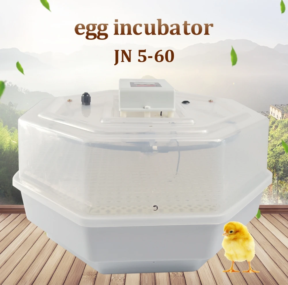 Полуавтоматический куриное яйцо инкубатор штриховки проведение 60 яйца