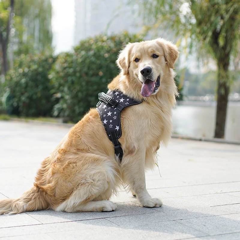 Dog Harness For Large Dogs k9 Running Walking Durable Basic Dog Harness Puppy Pet Vest Leash Adjustable Lead Accessories (66)