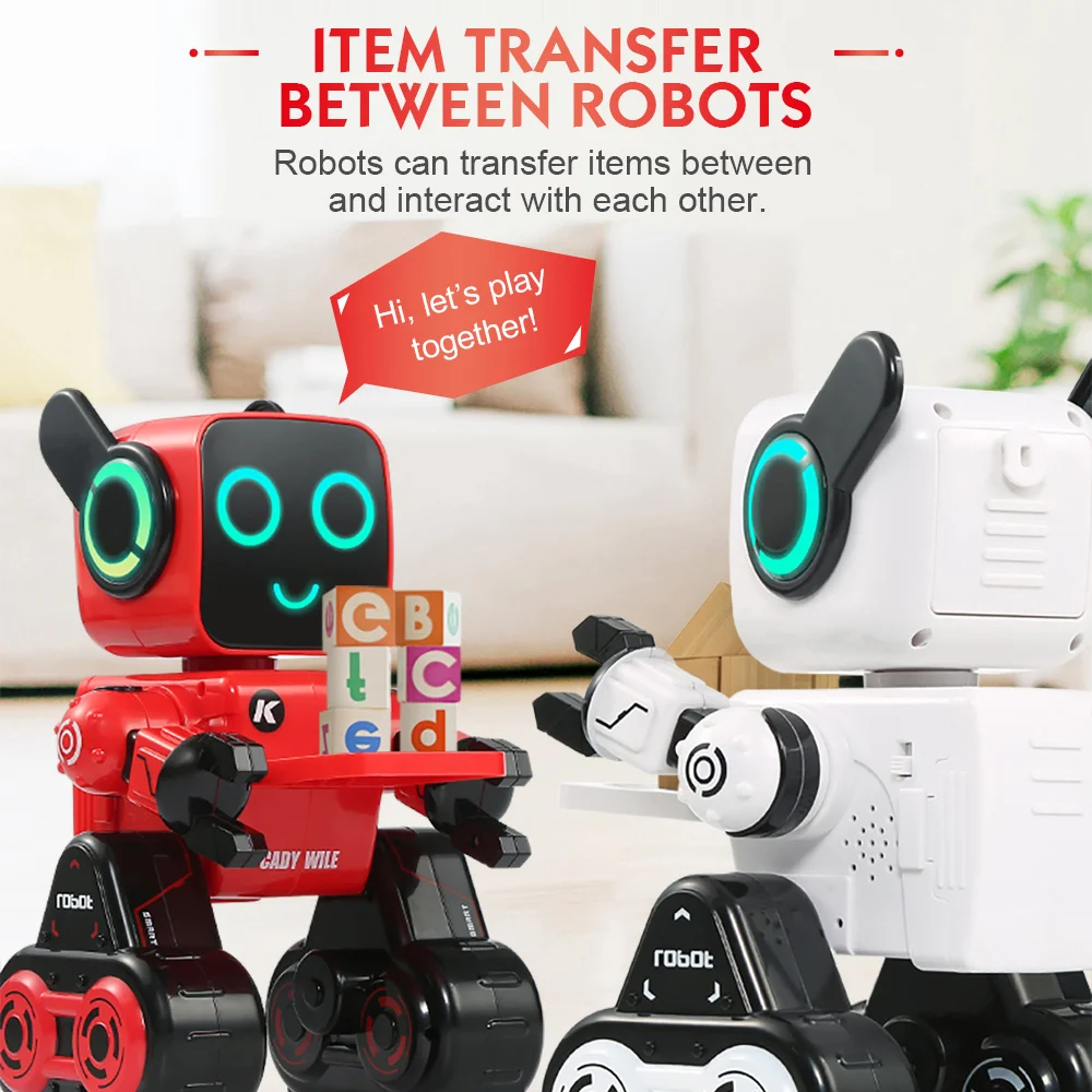 RC Robot (1)