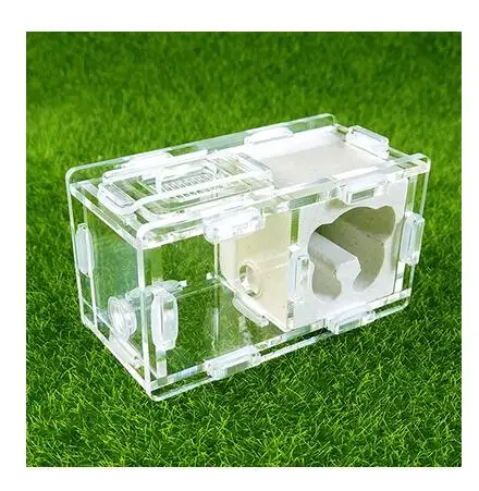 

Mini Plaster Ant Nest 2 Rooms Ants Queen House Cartoon Bear Shape Insect Cage Anthills Granja de Hormigas nid fourmis