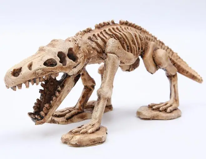 

Aquarium tank aquarium construction decorative ornamental setting dinosaur skeleton resin skull crawler to avoid aquarium