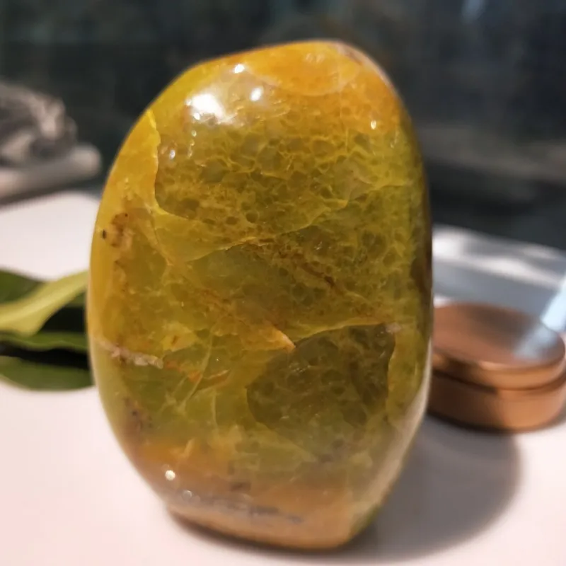 conew_img20190317164012